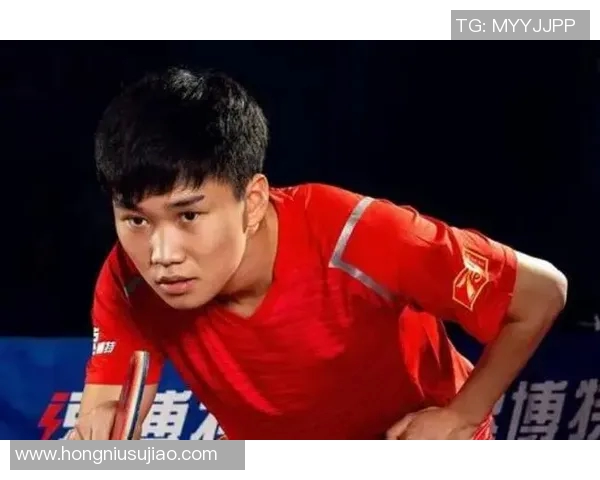 对话杨强:回顾乒乓球生涯的辉煌与挑战分享 对话杨强:回顾乒乓球生涯的辉煌与挑战分享