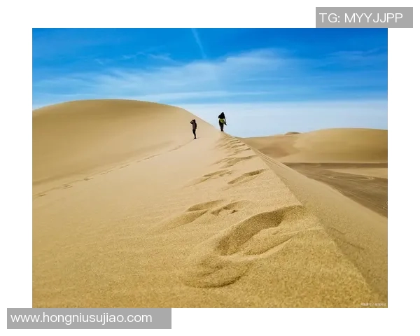 张军的攀岩人生：在高峰与深渊之间的深度对话与心灵探索