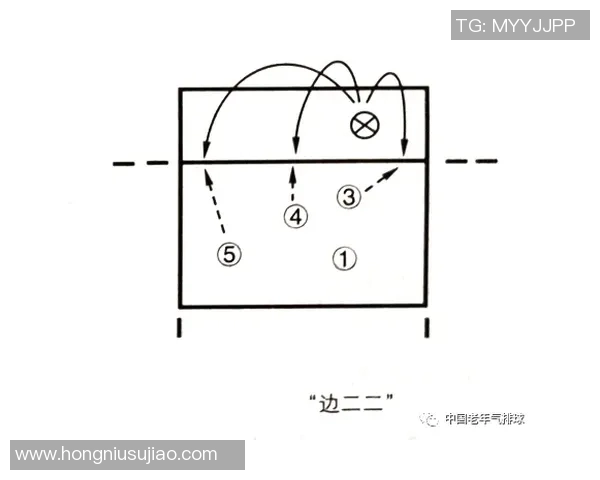 武汉排球队防反战术解析与实战应用全方位解读