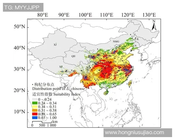 北京排球队边路渗透战术分析及其对比赛结果的影响探讨