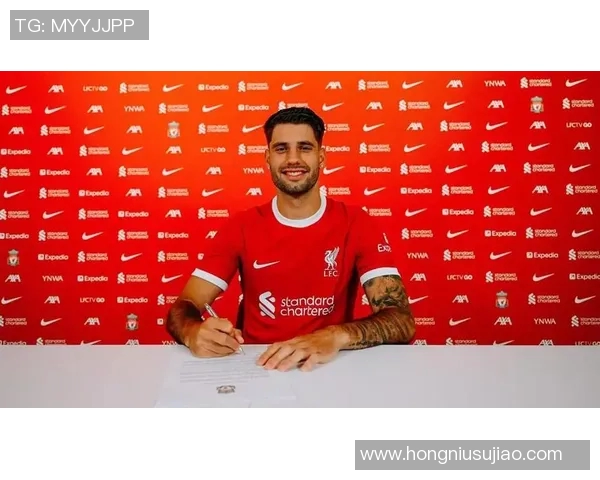 探寻索博斯洛伊的历史与文化魅力,揭开神秘面纱的旅程之旅 探寻索博斯洛伊的历史与文化魅力,揭开神秘面纱的旅程之旅