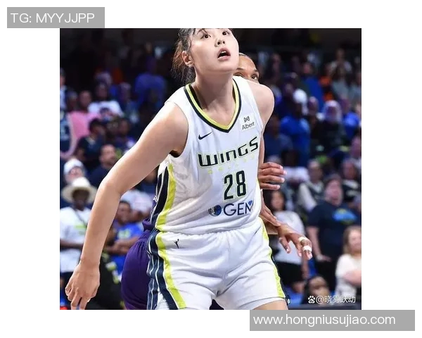 WNBA总决赛山猫对决火花巅峰对决引发球迷热议与期待