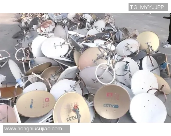 探索弗格的魅力与影响力揭示其在现代文化中的独特地位与价值