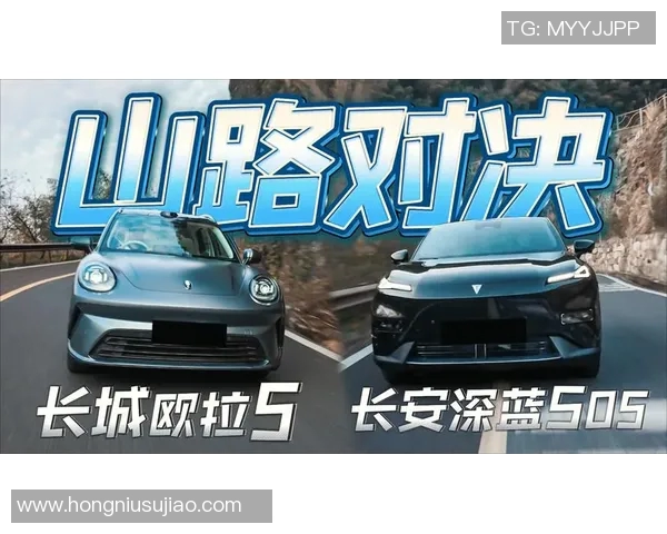 南部鲨鱼与惠灵顿圣徒激战正酣谁能在这场对决中胜出