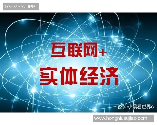 数据分析揭示V5团队协作表现的优势与改进空间