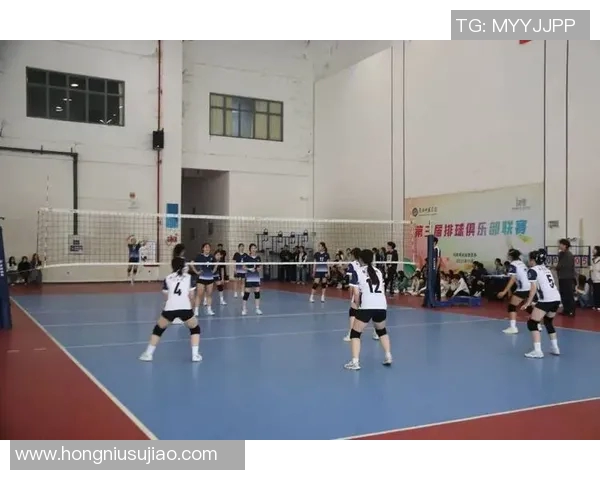 排球盛宴：深入分析杭州排球队的训练与竞技状态