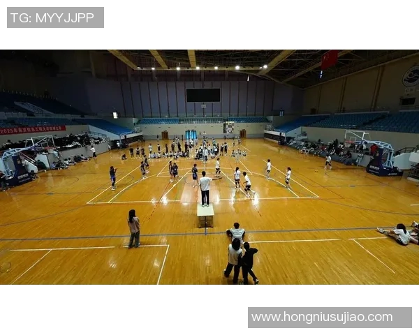 南京排球队技术创新再攀高峰引领排球发展新潮流