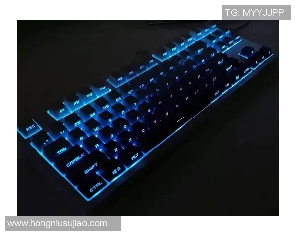 CSGO装备选购指南:适合玩家的机械键盘推荐与评测