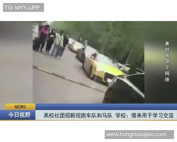 TES团队协作引发热议争议背后的战术与沟通分析